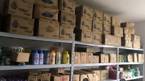 宠物用品初创业，橙子办公是我们路上的定心丸